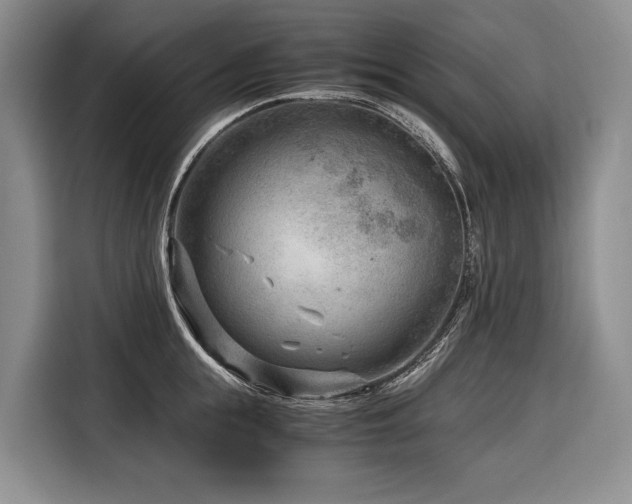 X0000116640855200912141234