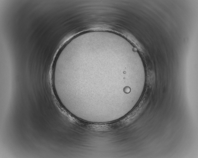 X0000116640856200912141234