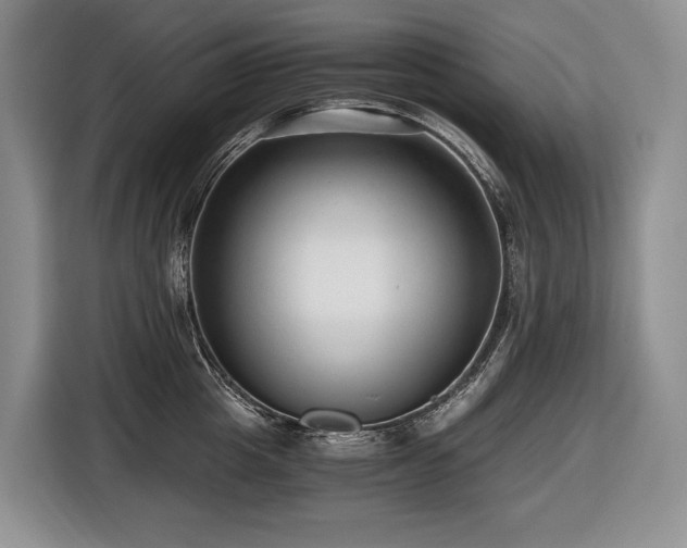 X0000116640857200912141234