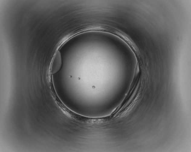 X0000116640858200912141234