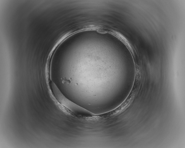 X0000116640859200912141234