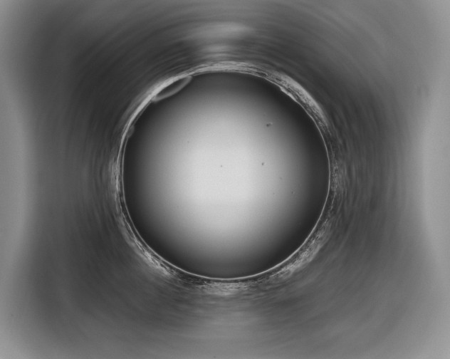 X0000116640860200912141234