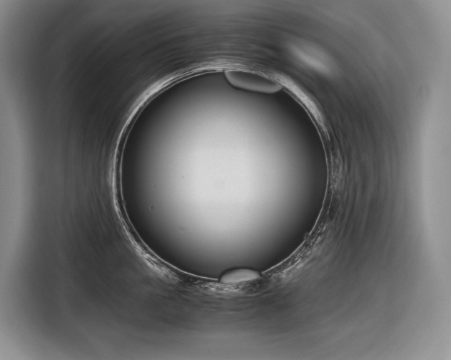 X0000116640861200912141234