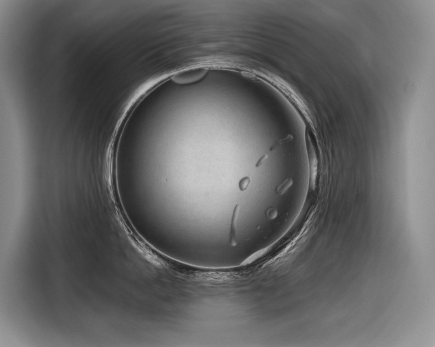 X0000116640862200912141234