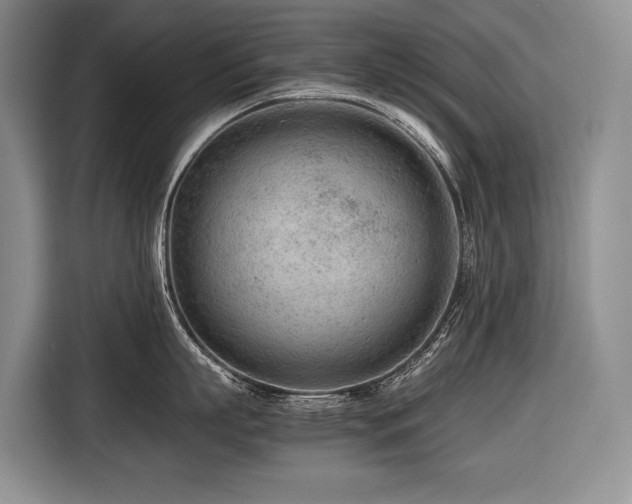 X0000116640863200912141234