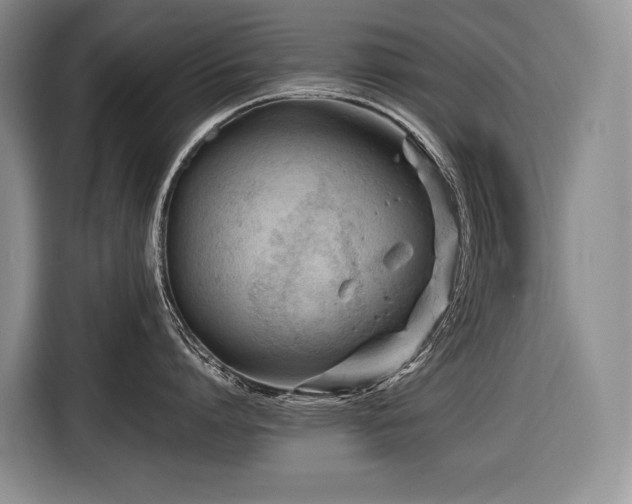 X0000116640864200912141234