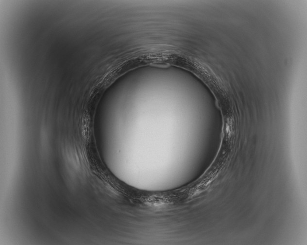 X0000116640867200912141233