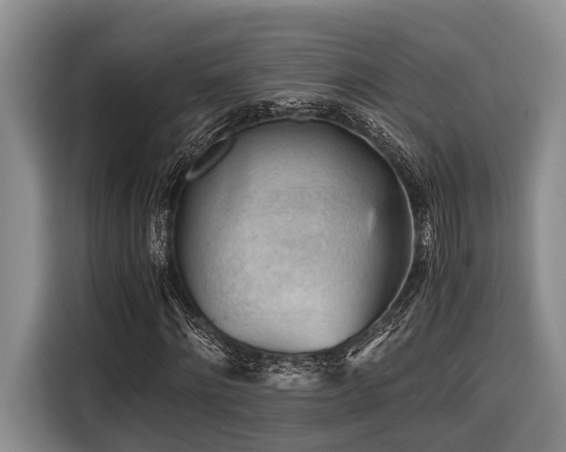 X0000116640868200912141233