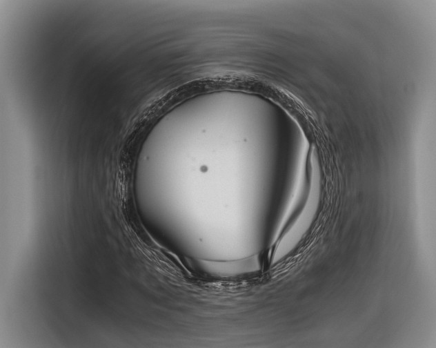 X0000116640869200912141233