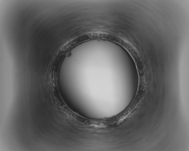 X0000116640870200912141233