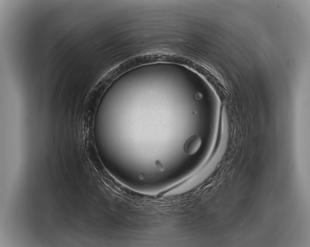 X0000116640872200912141233