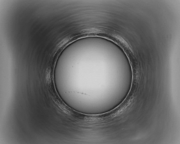 X0000116640873200912141233