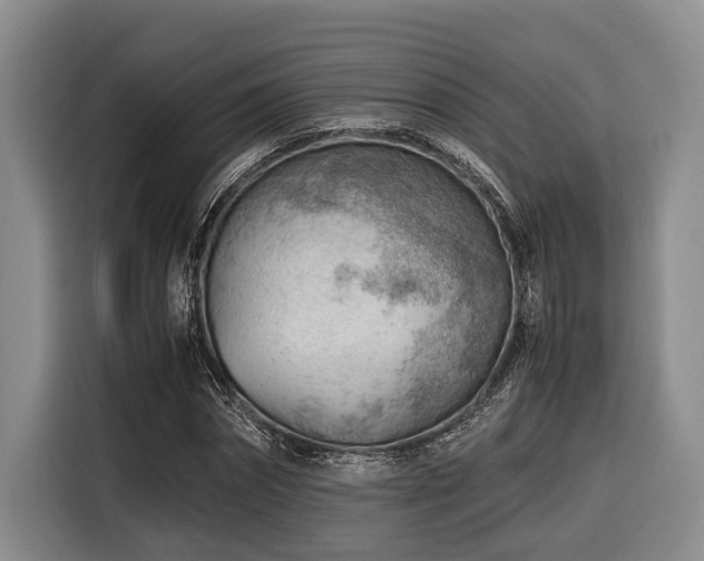 X0000116640874200912141233