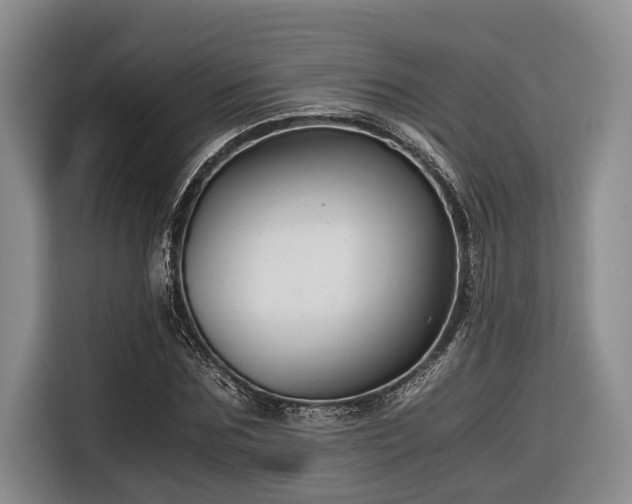 X0000116640875200912141233