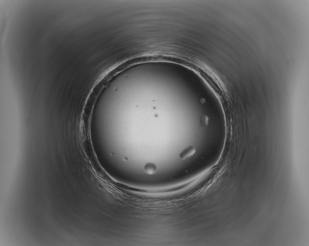 X0000116640876200912141233