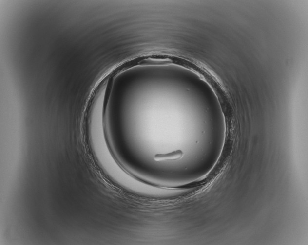 X0000116640877200912141233