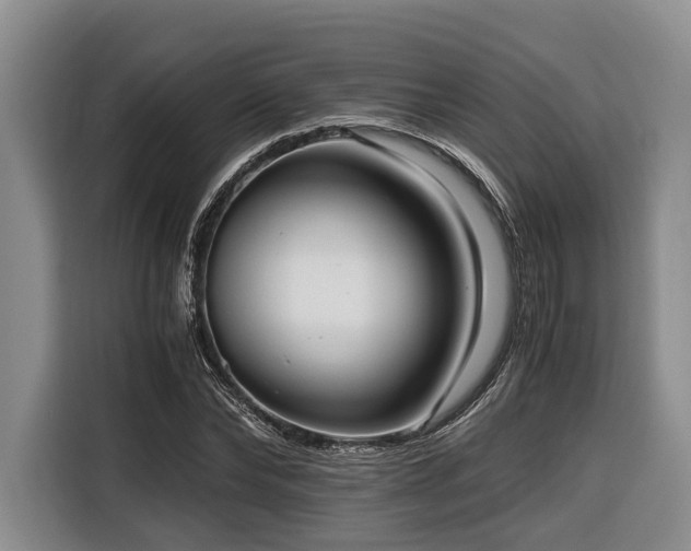 X0000116640878200912141233