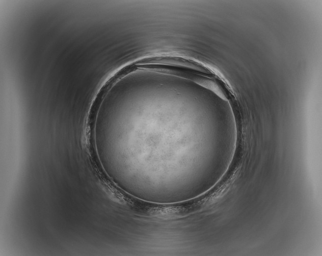 X0000116640879200912141233