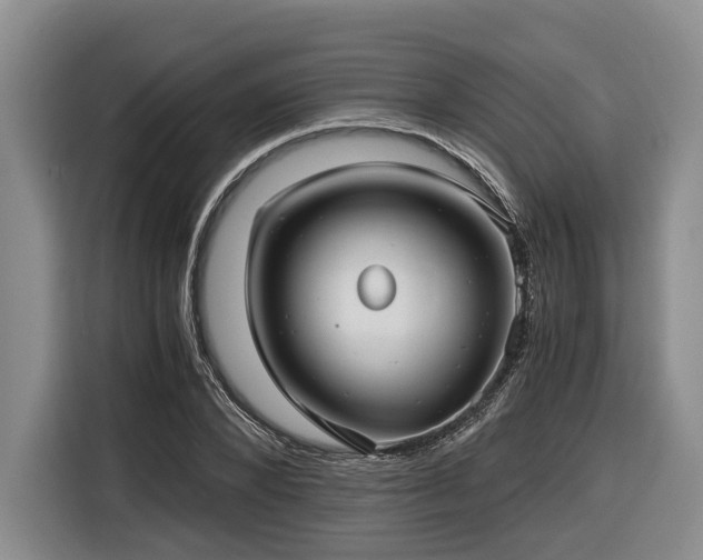 X0000116640880200912141233