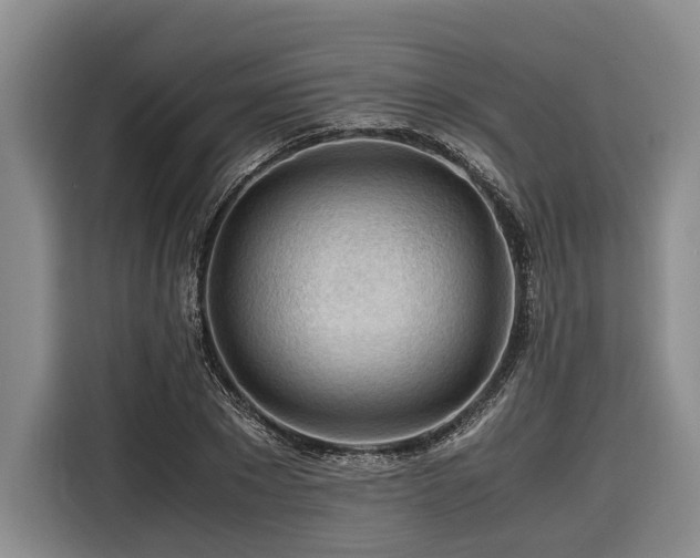 X0000116640881200912141233