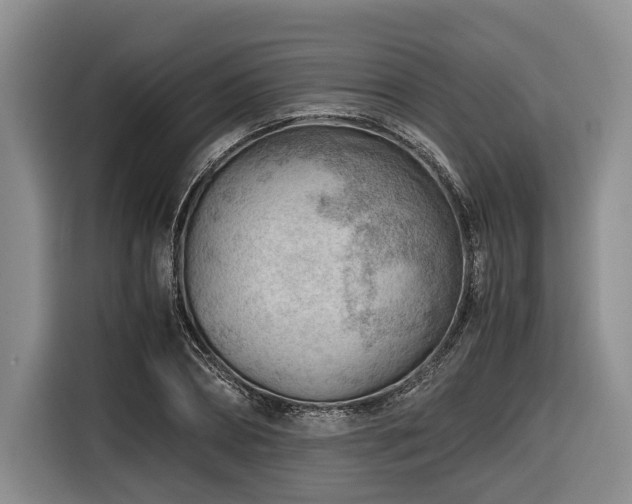 X0000116640882200912141233