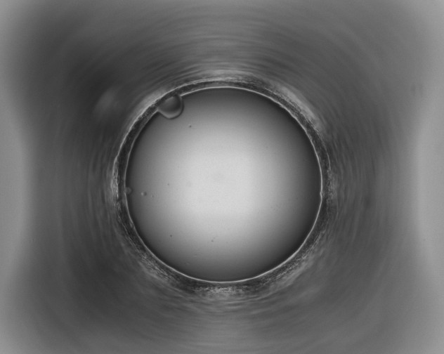 X0000116640883200912141233