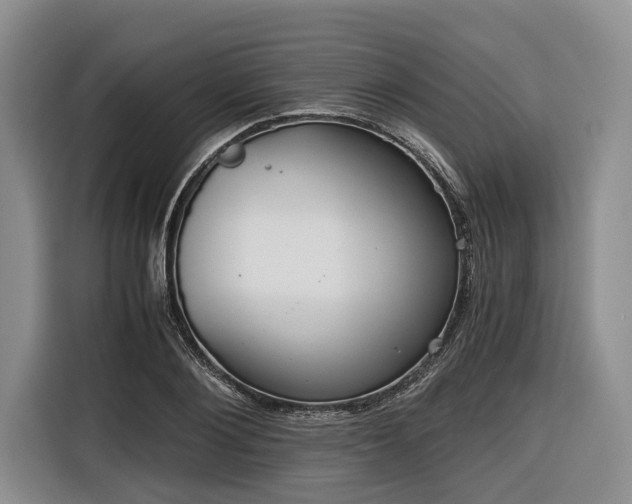 X0000116640884200912141233