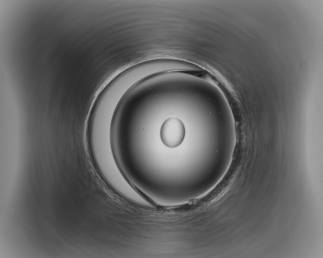 X0000116640885200912141233