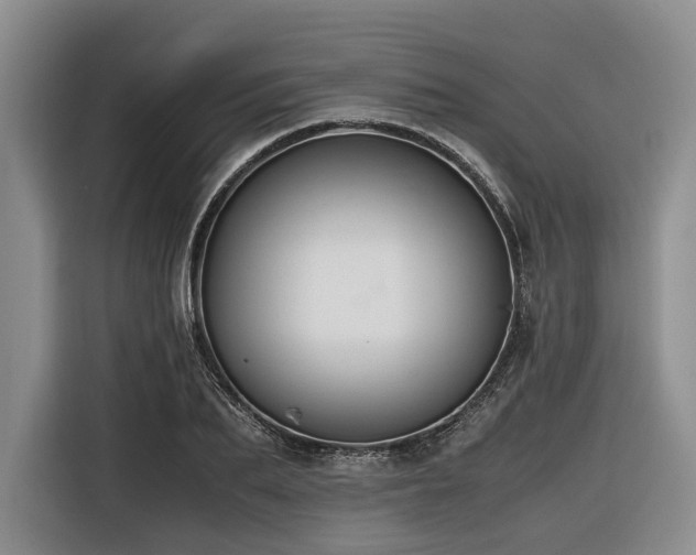 X0000116640887200912141233