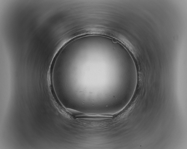 X0000116640891200912141233