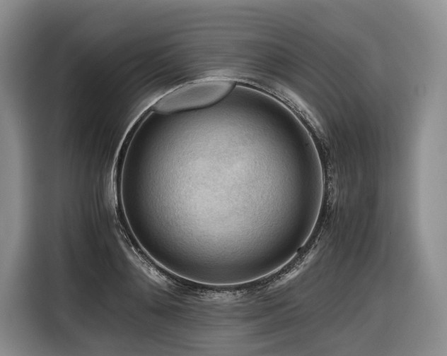 X0000116640892200912141233