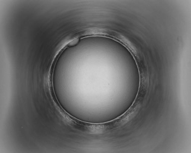 X0000116640893200912141233