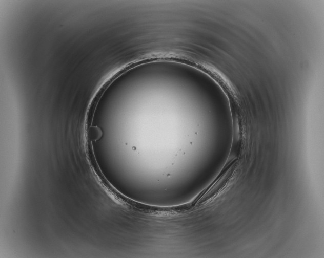 X0000116640894200912141233