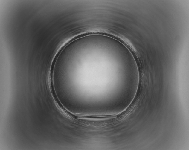 X0000116640895200912141233