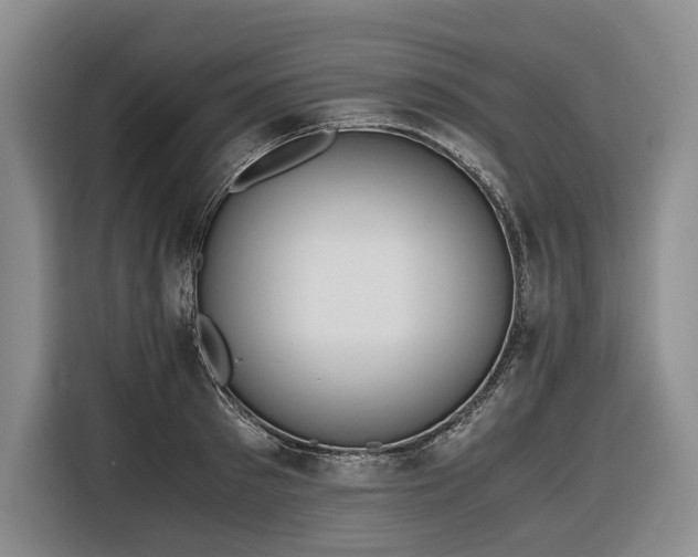 X0000116640897200912141233