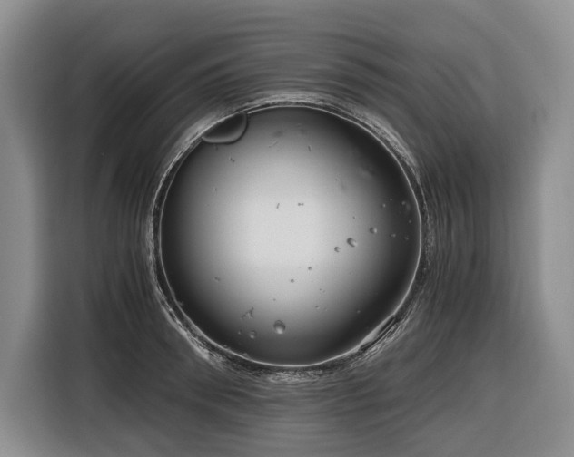 X0000116640898200912141233