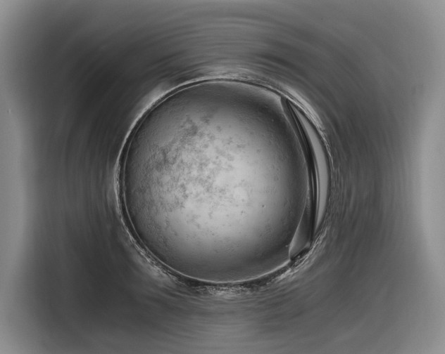 X0000116640899200912141233