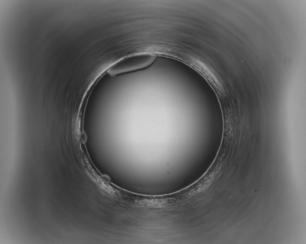 X0000116640900200912141233