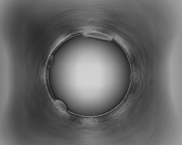 X0000116640901200912141233