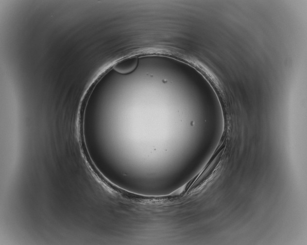 X0000116640902200912141233