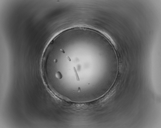 X0000116640903200912141233