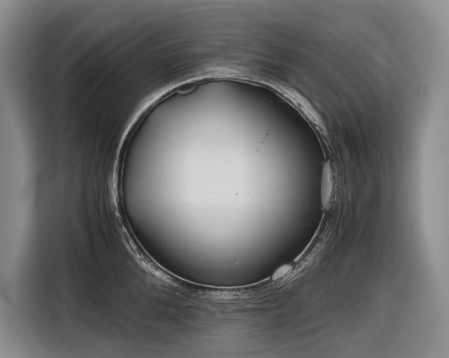 X0000116640904200912141233