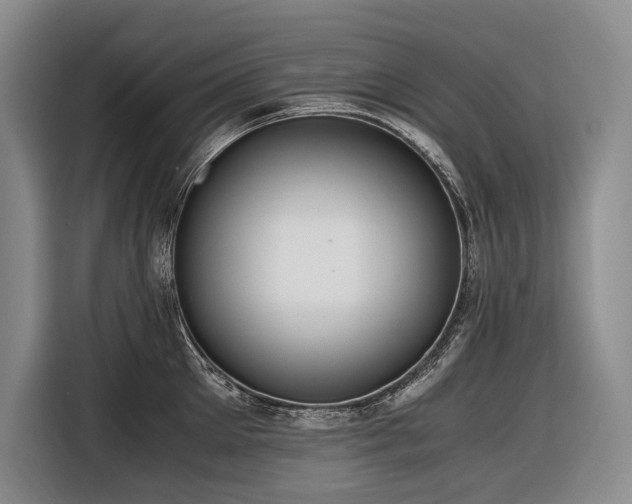 X0000116640905200912141233