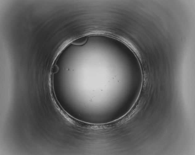 X0000116640906200912141233