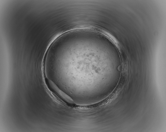 X0000116640907200912141233