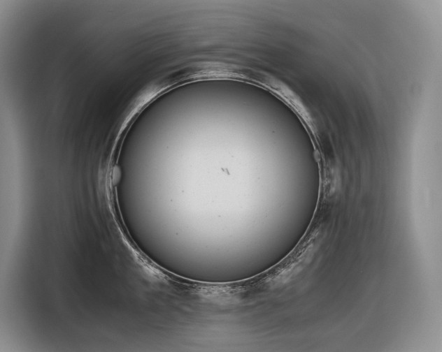 X0000116640909200912141233