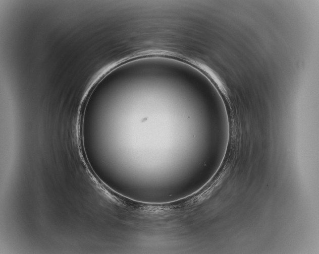 X0000116640910200912141233