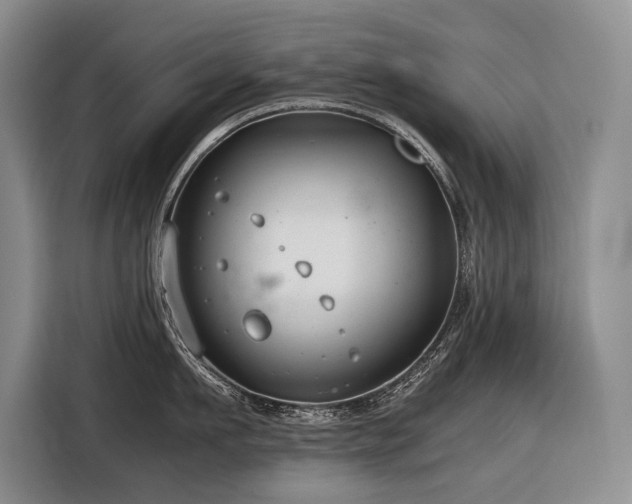 X0000116640911200912141233