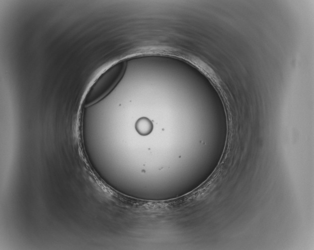 X0000116640912200912141233