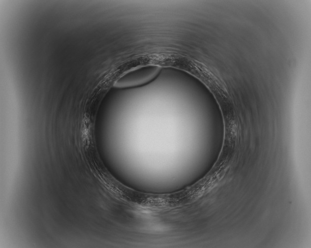 X0000116640914200912141232